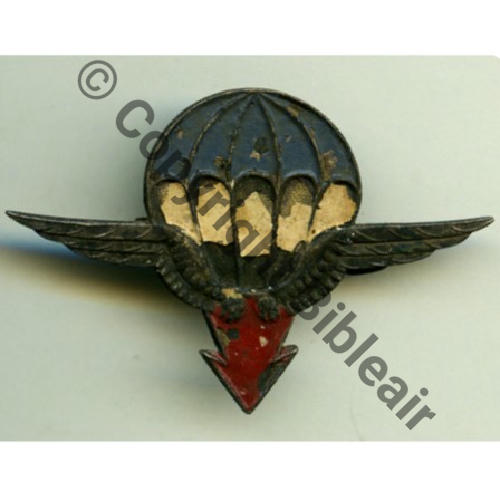 DIV AERO 25e DIVISION AEROPORTEE  SM (MOURGEON) Peint  Src.grandspins13 PV280Eur 