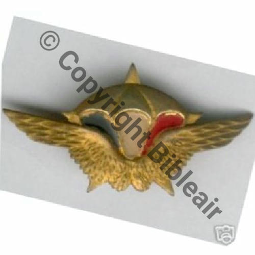 RCP  1eRCP 1945 Peint  SM 2Anneaux Dos lisse Sc.0910m 78Eur02.08