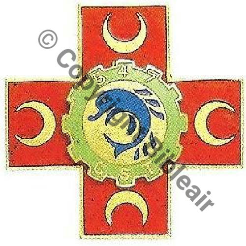 CST  547eCIE SANITAIRE DE TRANSPORT 56.57 LA REGHAIA EL BIAR  Dr  G1342  Src. RIGODENZO