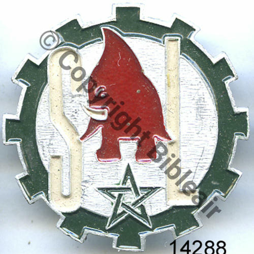 QG  88e CIE QG SECTION LOURDE 4eDMM  A.AUGIS LYON ST.BARTH 2Lig 2Griffes Alu Peint Src.SEGALEN 174Eur11.18 