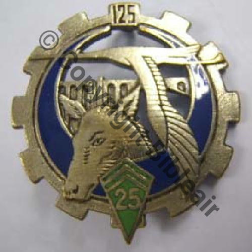 125eCIE MULETIERE  DrP 2Anneaux Guilloche vrac Sc.leberetvert MAP90Eur 