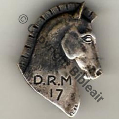 DRM  17e DEPOT de REMONTE MILITAIRE  ELBA grave sur recto SM Eping bascule Dos lisse Sc.lectou32 220Eur01.09