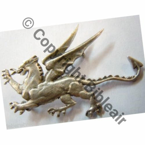 065 COPIE  A1128 SPA.65 1eDRILLE EC.2.2 COTE OR DIJON  SM  Sc.leberetvert 100Eur12.11 