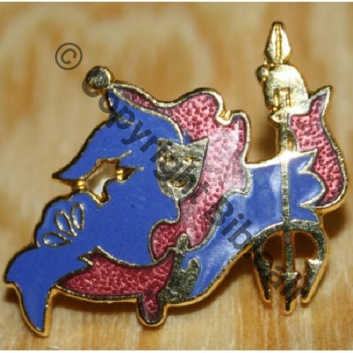 085  2005 COPIE SPA.85 1e Drille 3.13 LA FOLIE  SM Attac US COPIE type PINS Src.asvendeur2012 33Eur02.13 Vendu 20x par militairetetedemule 10Eur(x20)  
