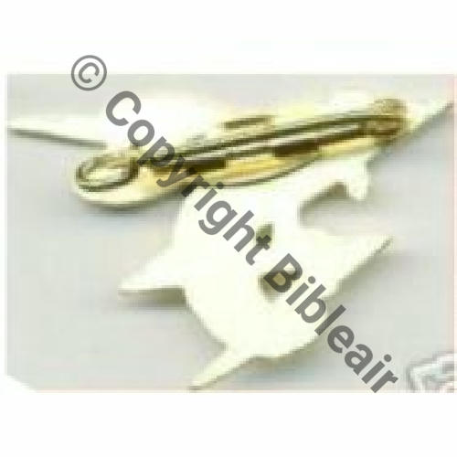 089 DOS ET ATTACHE TYPE FAUX CUICH DOS LISSE  Src.wgolan