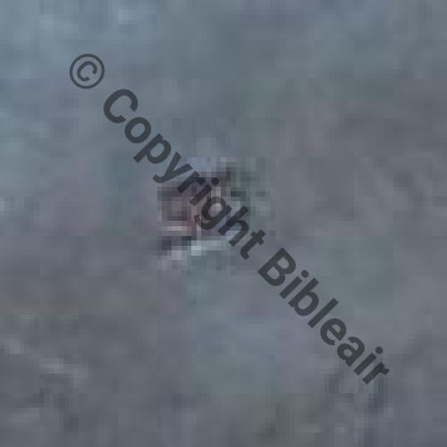 124 FAUX SPA.124  MADE IN USA DOS FAUX MARQUAGE 975 pour teneur en argent Src.Y.GENTY  