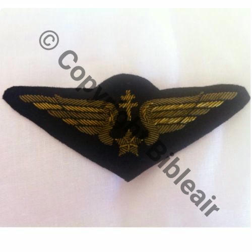 AILE POITRINE PILOTE FAFL Brode cannetille  Src.doria1969 87Eur(x2) 