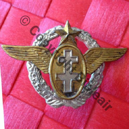 BREVET PILOTE FAFL  FIRMIN LONDON COPIE 2Anneaux Dos lisse REVENDEUR.doria1969 39Eur10.12 