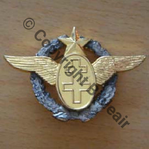 BREVET PILOTE FAFL miniature  SM 2Anneau Dos lisse irreg COPIE Sc.mmemistou 13Eur10.09  